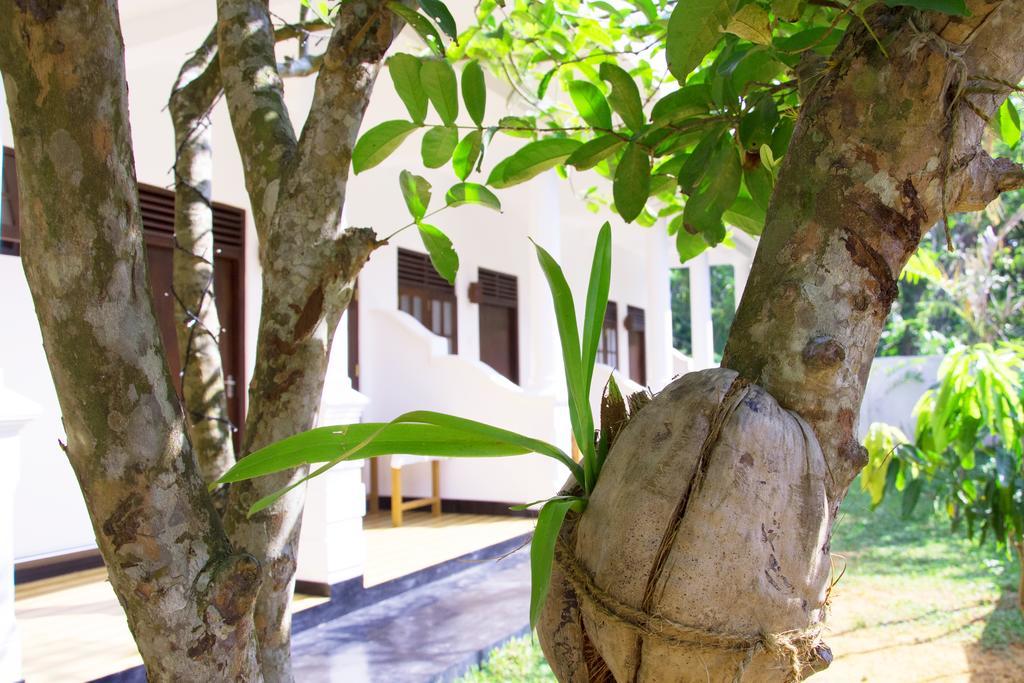 Garden Inn Мириса Екстериор снимка